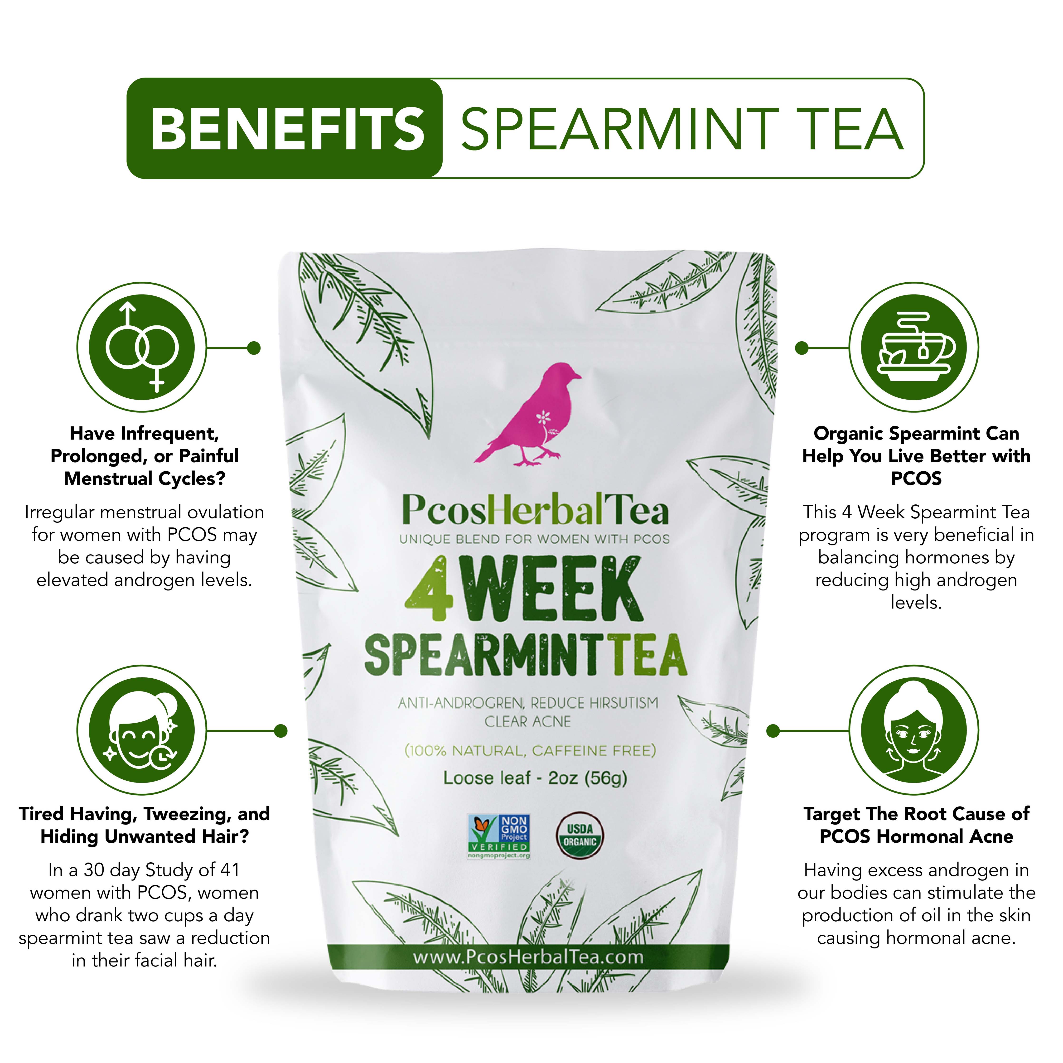 PCOS Spearmint Tea
