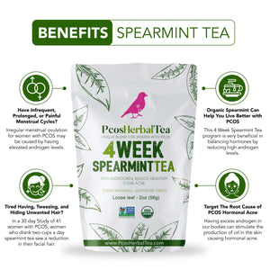 PCOS Spearmint Tea